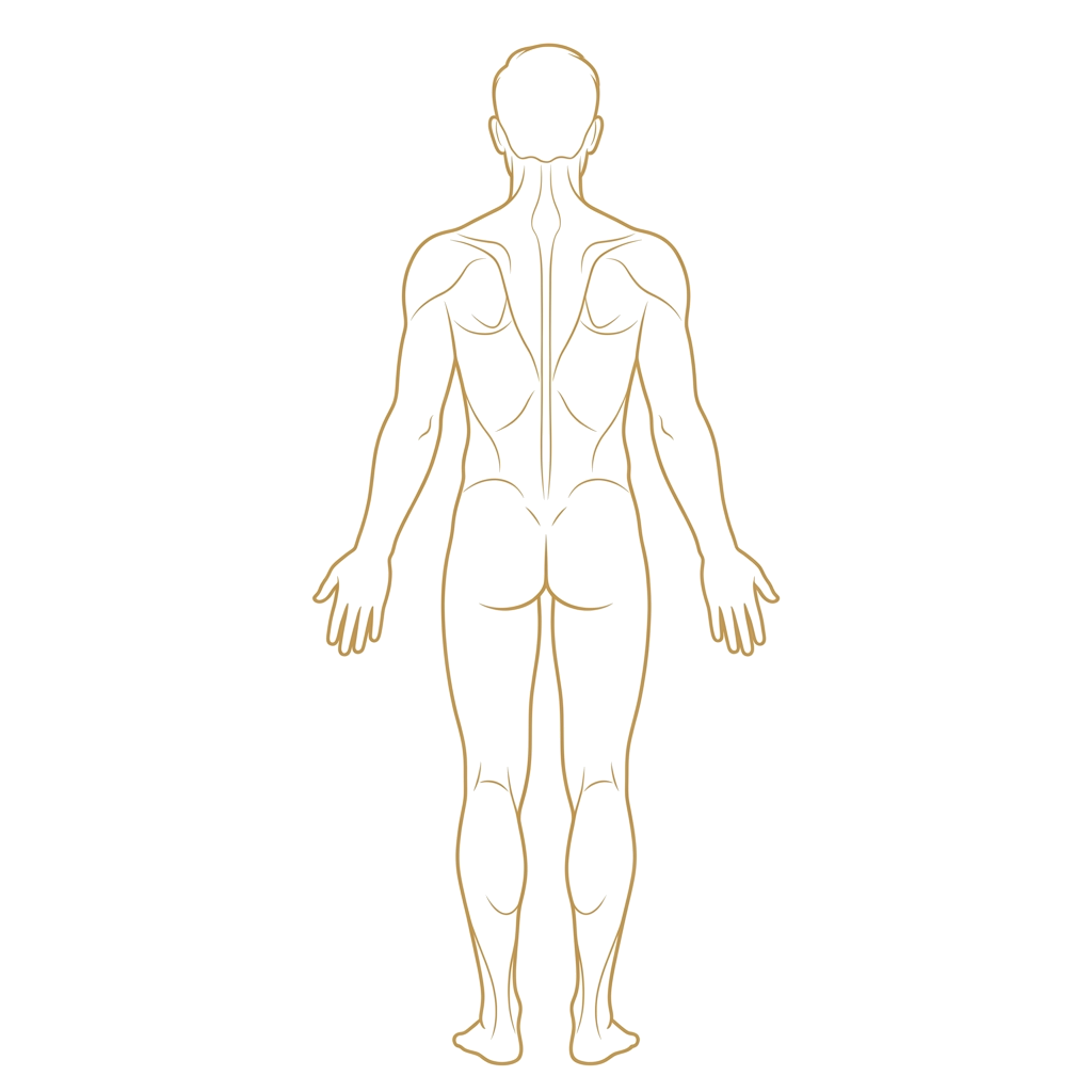 Body Map Back